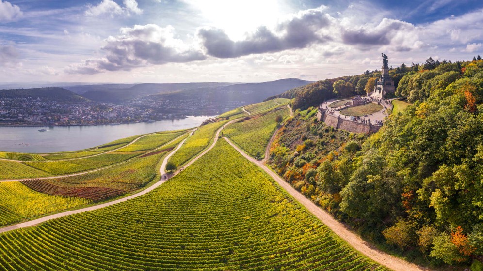 R�desheim � vin & linbanetur